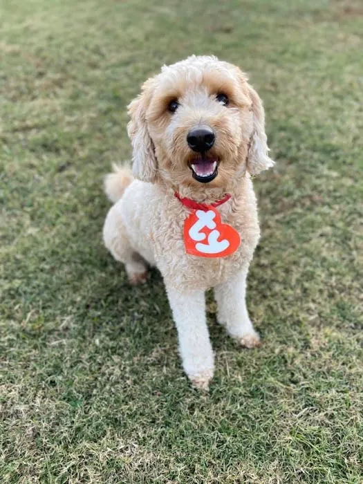 Best Friends Pet Clinic Picture 10