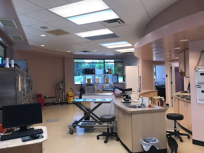 Best Friends Pet Clinic Picture 6