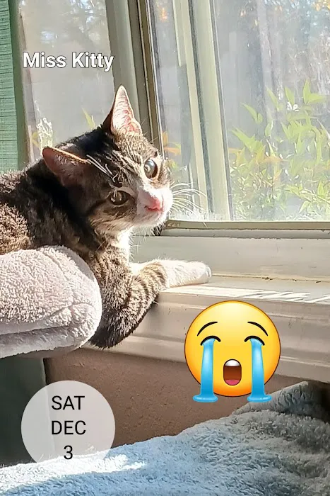 Vetco Total Care Animal Hospital Picture 1