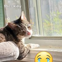 Vetco Total Care Animal Hospital ico