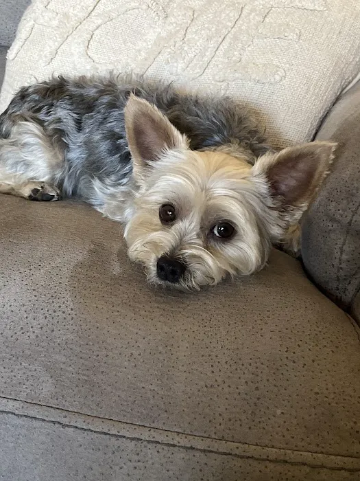 Vetco Total Care Animal Hospital Picture 4