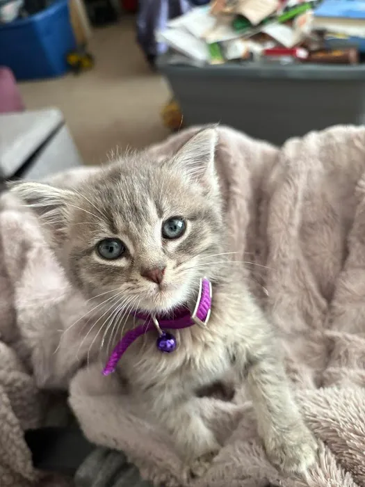 Vetco Total Care Animal Hospital Picture 7