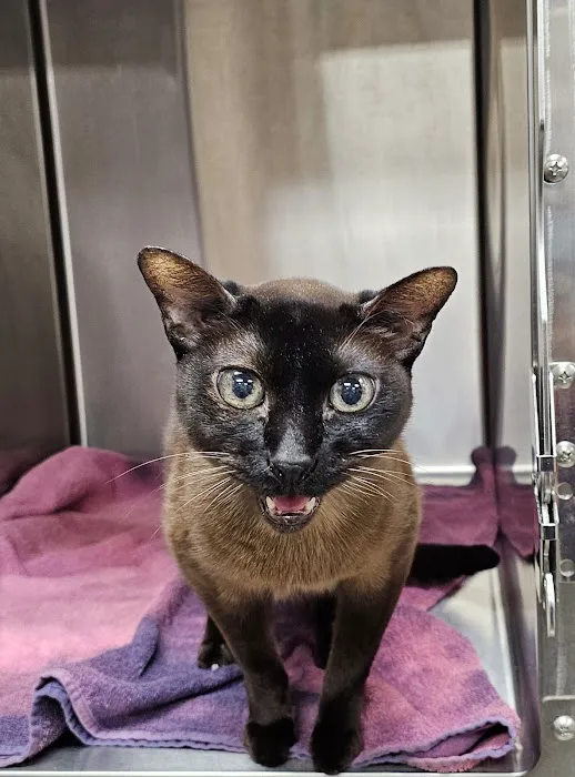 Vetco Total Care Animal Hospital Picture 8