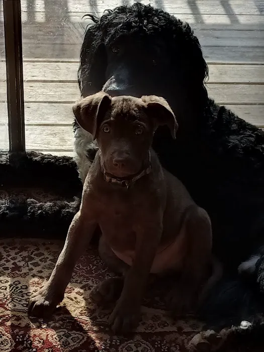 Fianna Hills Pet Hospital Picture 2