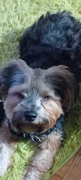 Fianna Hills Pet Hospital Picture 1