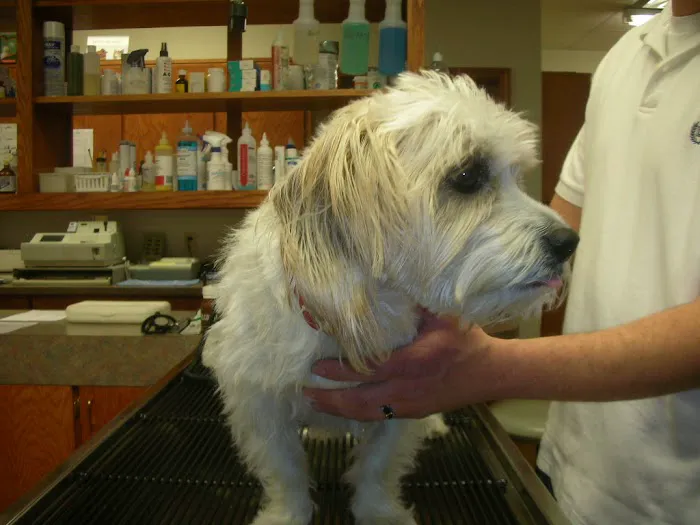 Fianna Hills Pet Hospital Picture 8