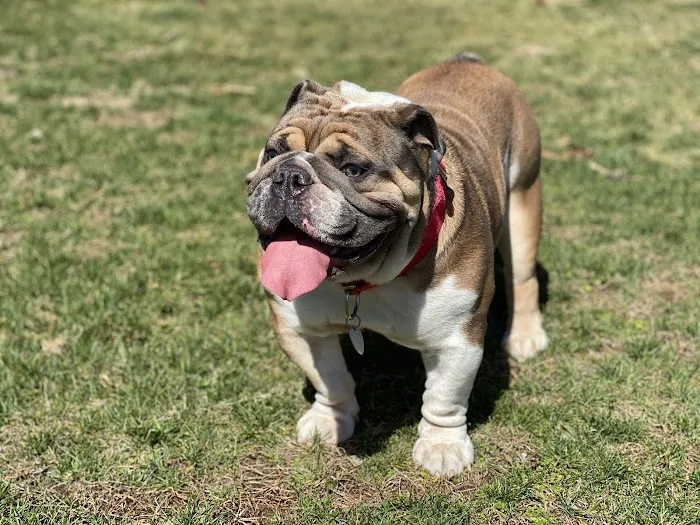 Fianna Hills Pet Hospital Picture 5