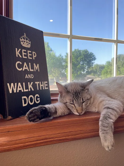 Fianna Hills Pet Hospital Picture 7