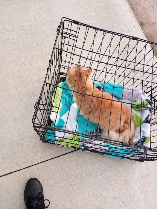 Kitties & Kanines Pet Resource Center, Inc. Picture 6