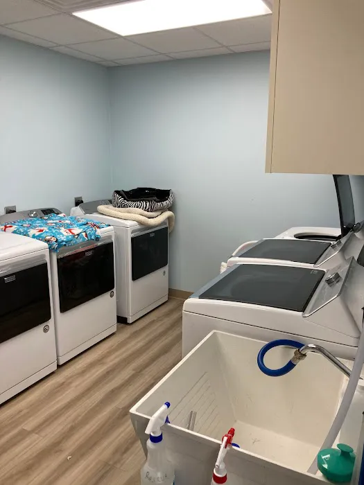 Kitties & Kanines Pet Resource Center, Inc. Picture 8