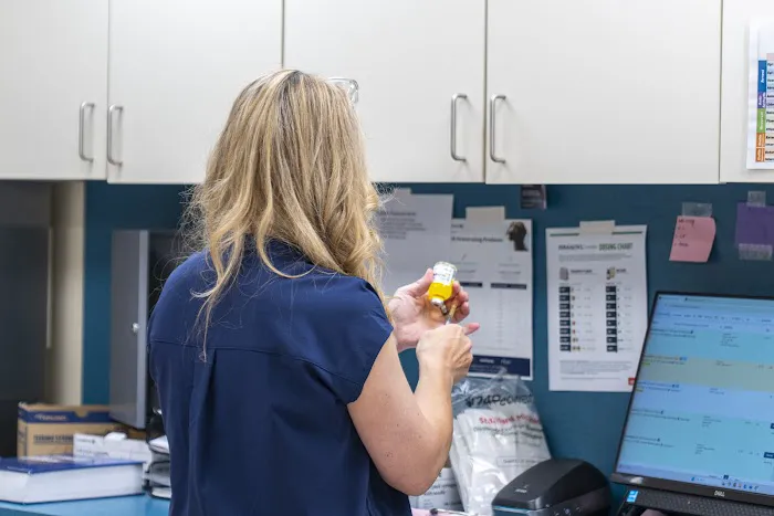 Kitties & Kanines Pet Resource Center, Inc. Picture 9