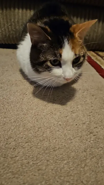 Hubler Veterinary Service Picture 1