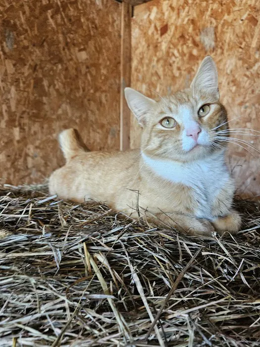 Hubler Veterinary Service Picture 3