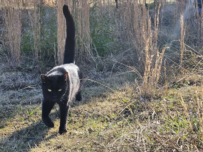 Hubler Veterinary Service Picture 4