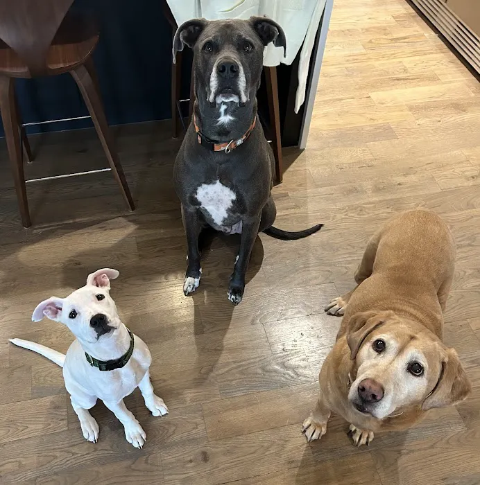 Crestwood Crossing Animal Hospital, LLC Picture 1