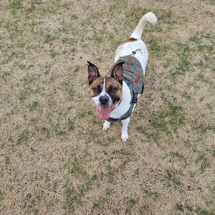 Crestwood Crossing Animal Hospital, LLC Picture 7