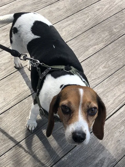 Crestwood Crossing Animal Hospital, LLC Picture 4