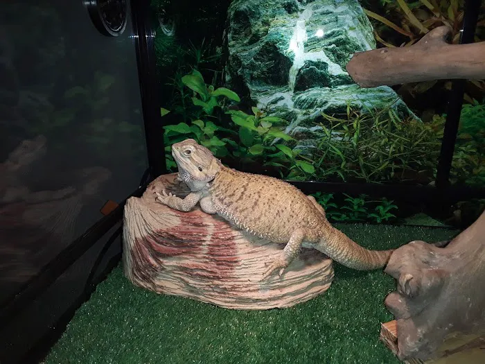 Forest Trails Animal Hospital Picture 3