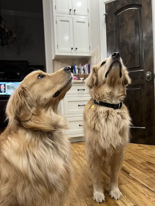 Forest Trails Animal Hospital Picture 1