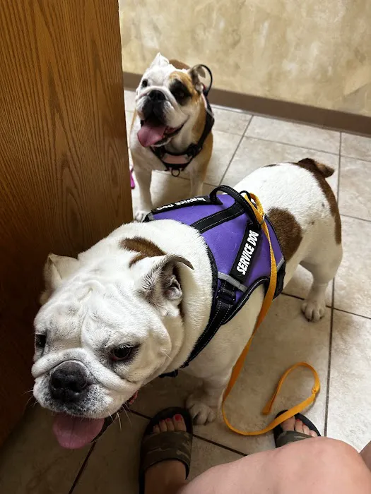 Forest Trails Animal Hospital Picture 5