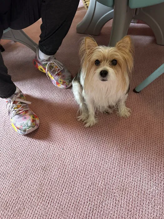 Forest Trails Animal Hospital Picture 7