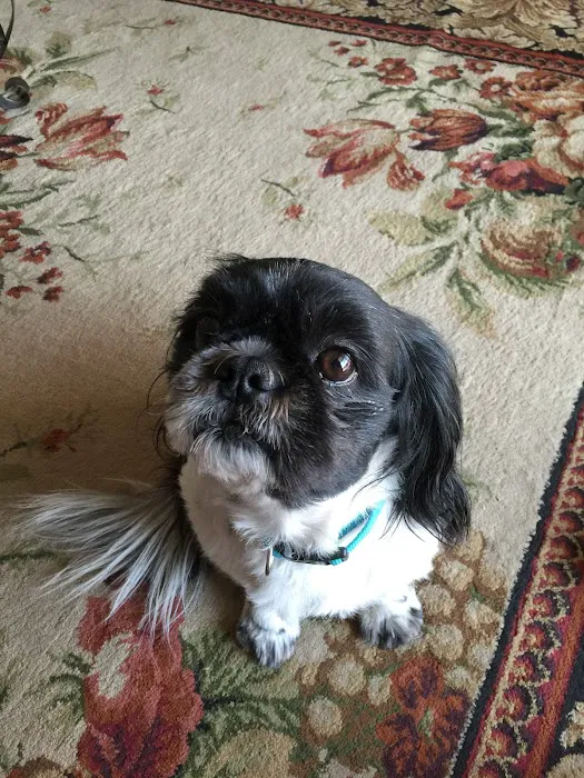 Horizon Animal Hospital Picture 4