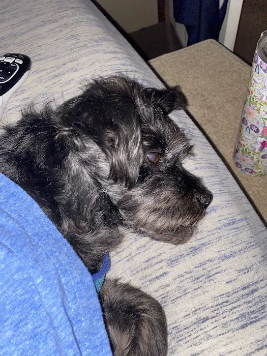 Horizon Animal Hospital Picture 3