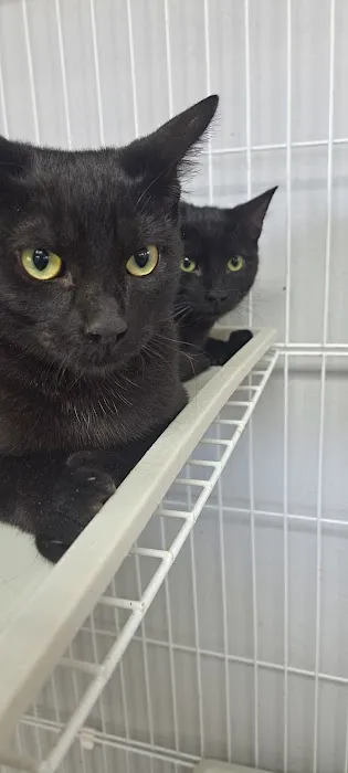 Horizon Animal Hospital Picture 9