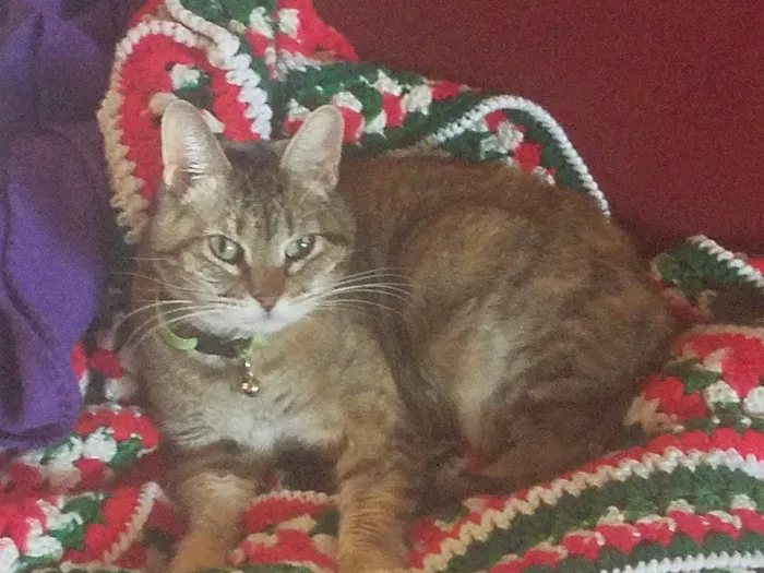 Horizon Animal Hospital Picture 7