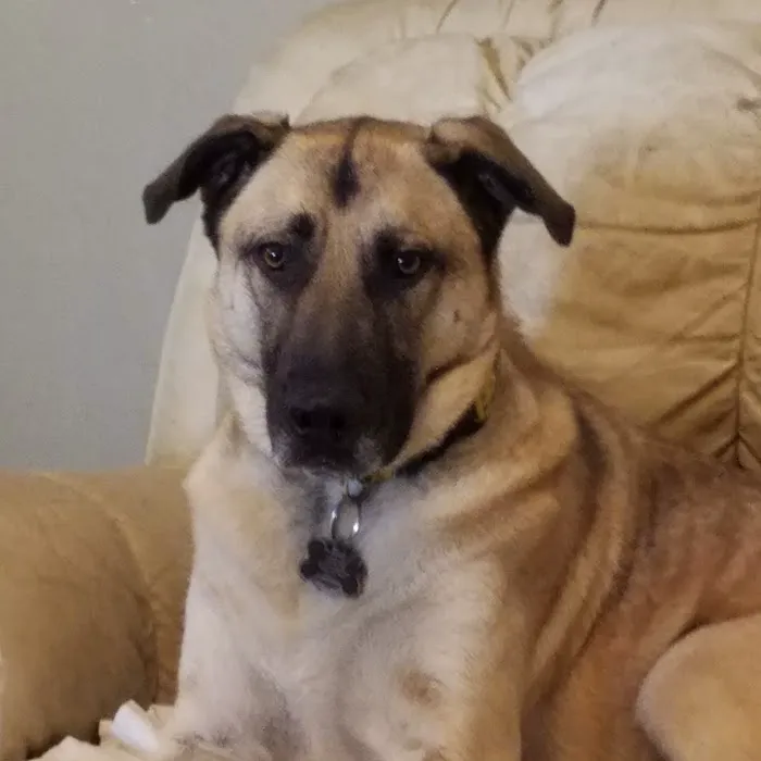 Horizon Animal Hospital Picture 8