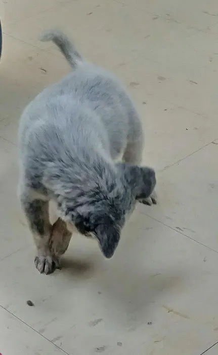 Horizon Animal Hospital Picture 5