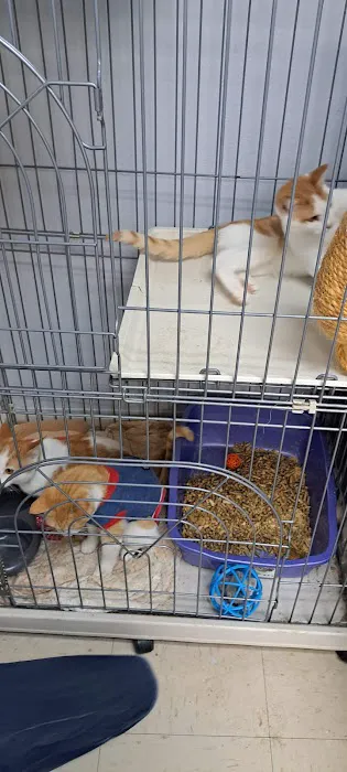 Horizon Animal Hospital Picture 6