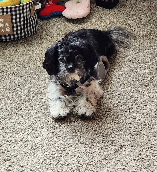 Chimney Hills Animal Hospital Picture 1