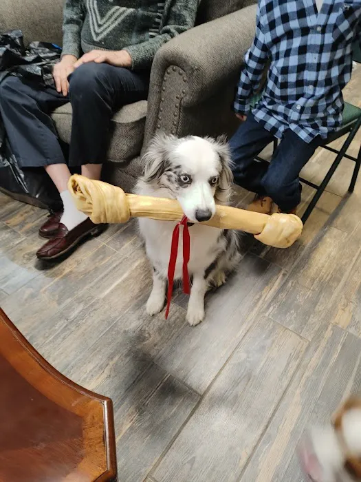 Chimney Hills Animal Hospital Picture 6