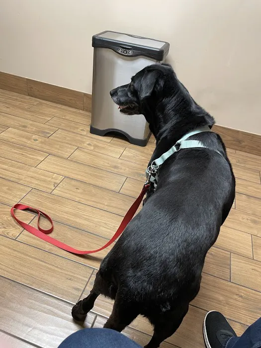 Chimney Hills Animal Hospital Picture 3