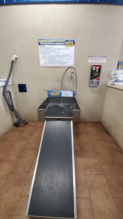 Chimney Hills Animal Hospital Picture 5