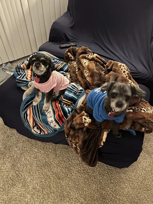 Chimney Hills Animal Hospital Picture 10