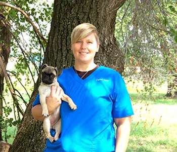 Hunters Glen Veterinary Hospital Picture 4