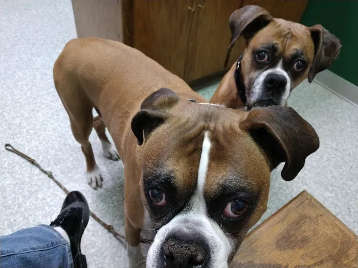 Hunters Glen Veterinary Hospital Picture 3