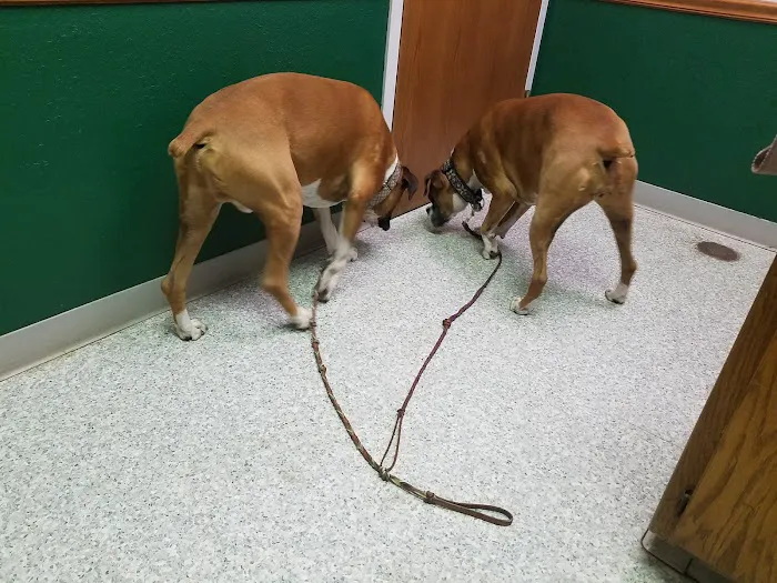 Hunters Glen Veterinary Hospital Picture 7