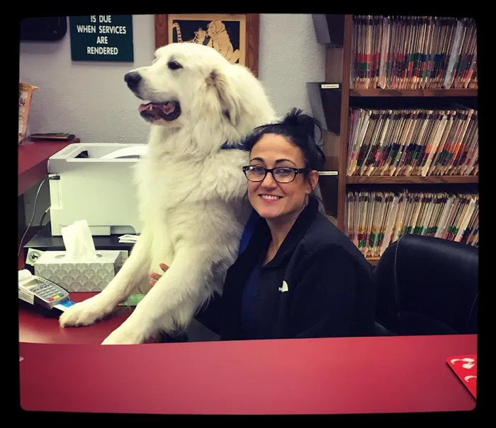 Hunters Glen Veterinary Hospital Picture 8