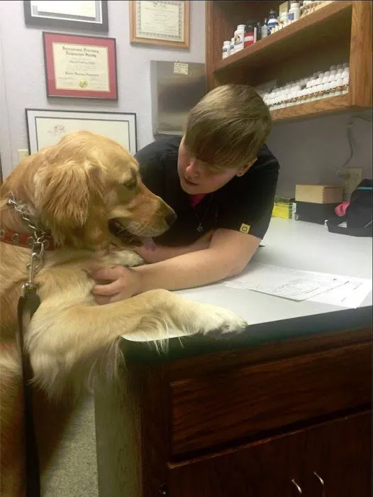 Hunters Glen Veterinary Hospital Picture 10