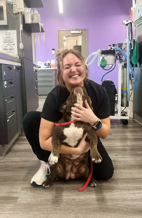 STATVet Animal Urgent Care at Riverside Picture 5