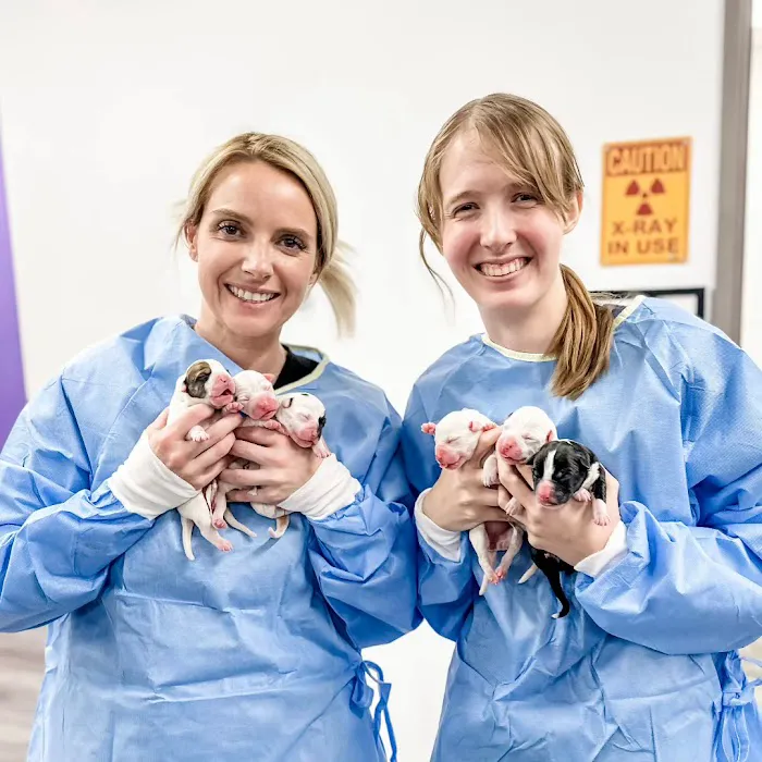 STATVet Animal Urgent Care at Riverside Picture 6