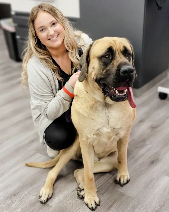 STATVet Animal Urgent Care at Riverside Picture 3