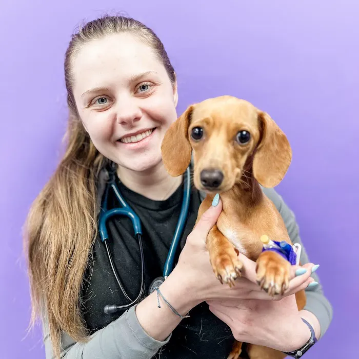 STATVet Animal Urgent Care at Riverside Picture 9