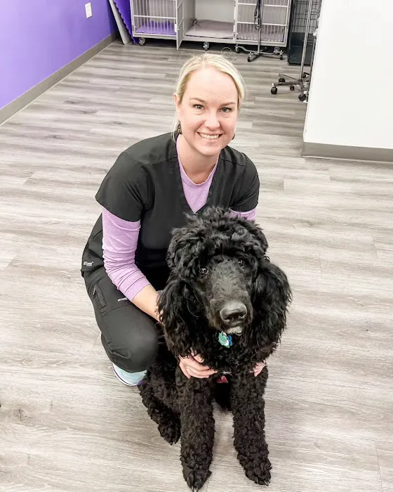 STATVet Animal Urgent Care at Riverside Picture 7