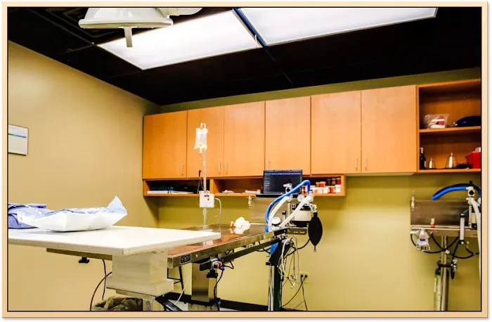 River Trail Animal Hospital and Pet Lodge Picture 5