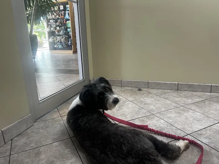 River Trail Animal Hospital and Pet Lodge Picture 6