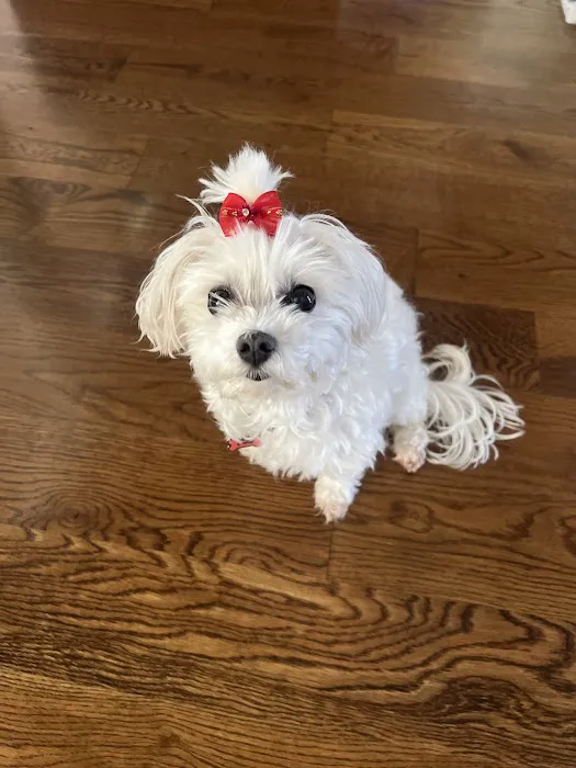 River Trail Animal Hospital and Pet Lodge Picture 4